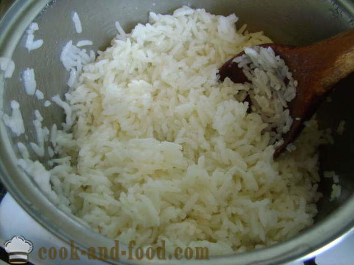 Lihapallid hakkliha riisiga pann - kuidas kokk lihapallid alates hakkliha ja kaste, kus samm-sammult retsept fotod