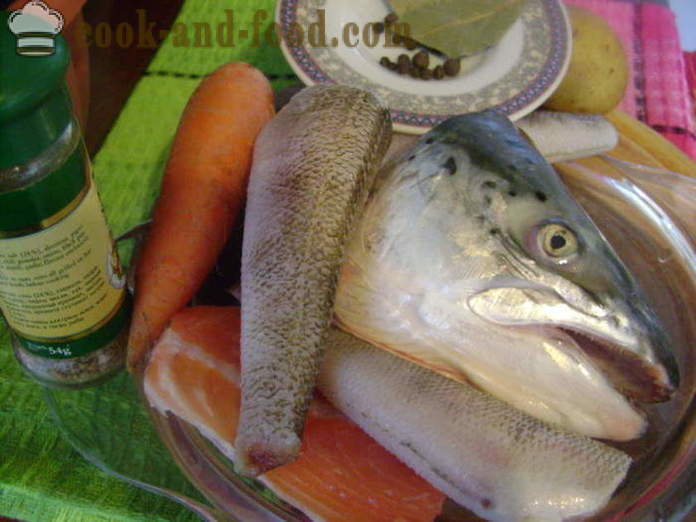 Kõrva peast kala ja muude erinevate kala - kuidas kokk supp kala pead, samm-sammult retsept fotod