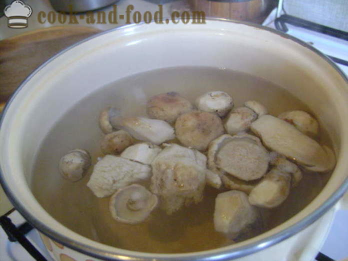 Delicious seenesupp külmutatud valge seened - kuidas kokk suppi külmutatud valge seened, samm-sammult retsept fotod