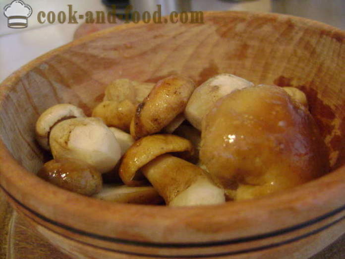 Delicious seenesupp külmutatud valge seened - kuidas kokk suppi külmutatud valge seened, samm-sammult retsept fotod