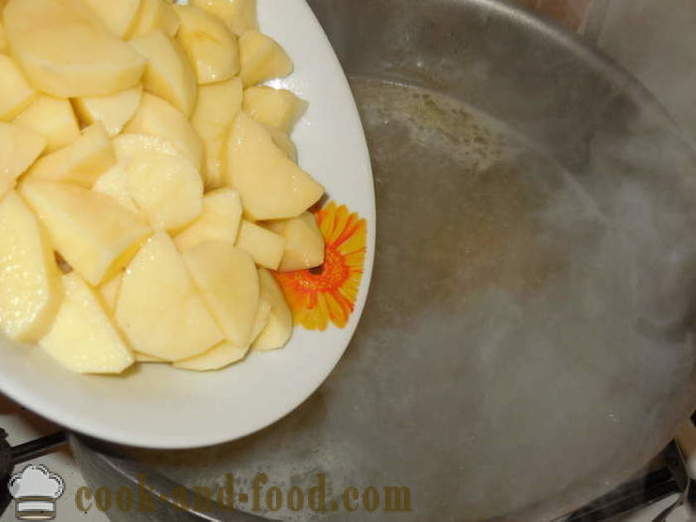 Dieet- supp puljong Türgi juurviljadega - kuidas kokk maitsev kalkun supp, samm-sammult retsept fotod