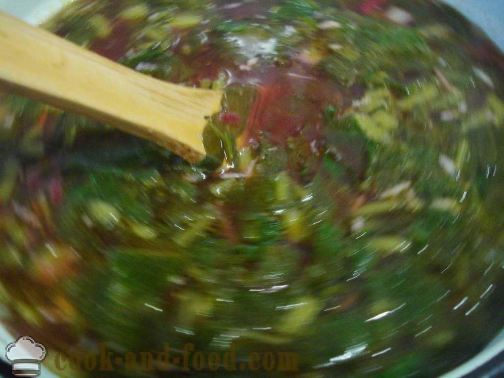 Köögiviljasupp hapuoblikas - kuidas kokk supp hapuoblikas, samm-sammult retsept fotod
