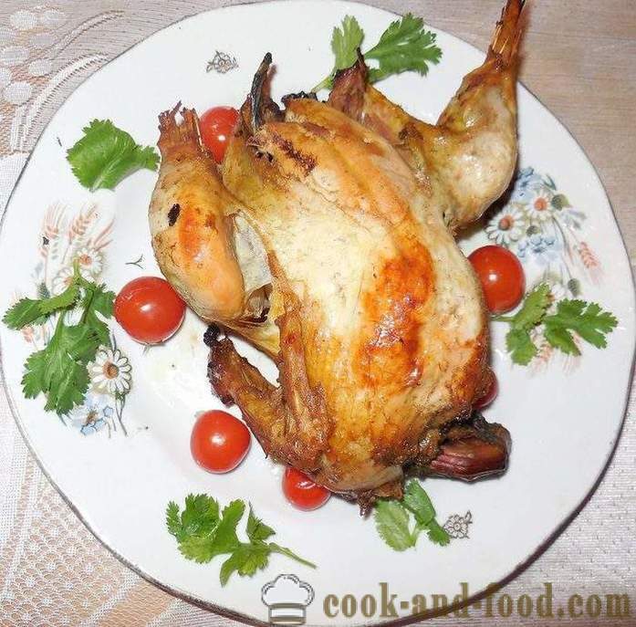 Wild Pheasant ahjus küpsetatud - nii maitsev süüa faasan kodus, retsept koos foto